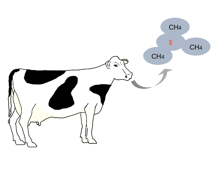 diagram of cow breathing out methane